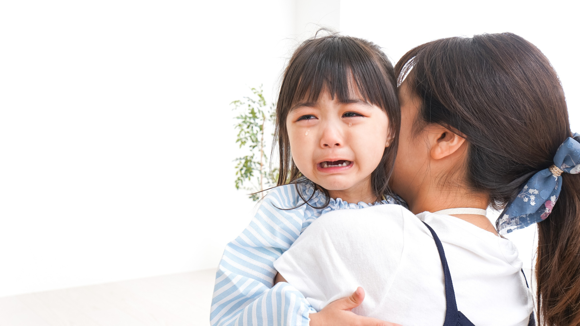Perilaku Babysitter